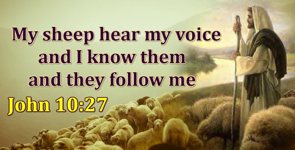 Does John 10:28 prove "Once Saved Always Saved"
